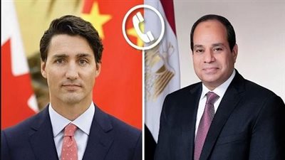 تبادل الرؤى.. الرئيس السيسي يؤكد لـ 