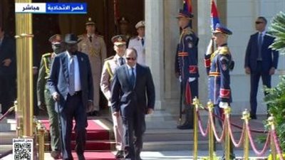 الرئيس السيسى مباحثاتى مع رئيس جنوب السودان عكست شراكتنا الاستيراتيجية