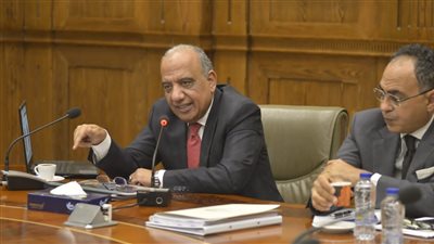 تفاصيل اجتماع وزير قطاع الأعمال العام مع لجنة الشؤون المالية والاقتصادية والاستثمار بمجلس الشيوخ