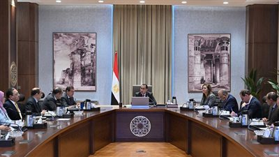 رئيس الوزراء يترأس اجتماع المجلس التنسيقي للسياسات النقدية والمالية