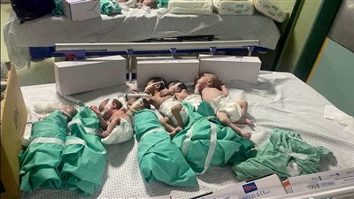 تحاول مصر إنقاذهم.. قصة 36 طفل من حديثي الولادة في غزة