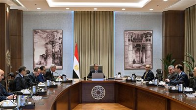 رئيس الوزراء يشهد عبر الفيديو كونفرانس افتتاح ٥ فروع لصيدليات 