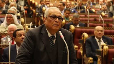 وكيل مجلس الشيوخ يدعو المصريين بالخارج للمشاركة الإيجابية بانتخابات الرئاسة