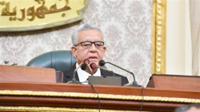رئيس مجلس النواب: الكل على قلب رجل واحد فى دعم القضية الفلسطينية
