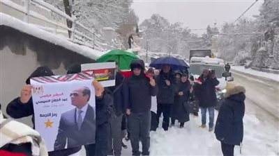 الجالية المصرية في فيينا تتحدى سوء الأحوال الجوية وتشارك بالانتخابات الرئاسية 