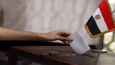 انتخابات الرئاسة.. انتهاء تصويت المصريين في نيوزيلندا وأستراليا والصين
