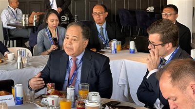 وزير المالية: مبادرة تحويل جزء من المديونيات إلى أداة لمواجهة التغير المناخى تمنح دفعة قوية للاستثمارات الخضراء