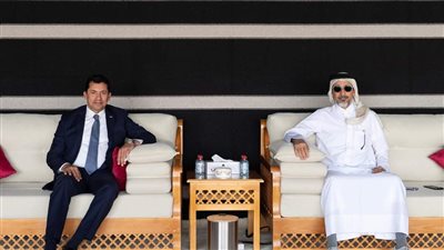 وزير الشباب والرياضة يلتقي نظيره القطري خلال زيارته للدوحة