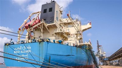 ميناء سفاجا البحري يستقبل 63 الف طن قمح روماني