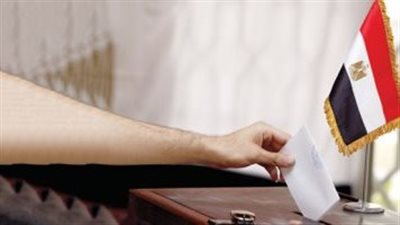 رئيس بعثة جامعة الدول العربية لمتابعة الانتخابات يؤكد فخره بمشاركة المصريين