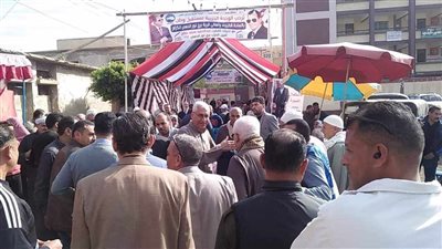 شباب متطوعون يقومون بتوفير بيانات الناخبين أمام اللجان الانتخابيه بالدقهلية