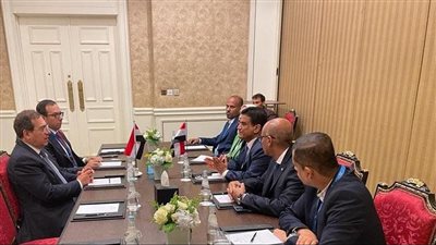 مباحثات مع وزير الطاقة اليمنى والأمين العام لمنظمة الدول المصدرة للغاز خلال مؤتمر الطاقة العربى
