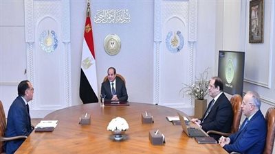 السيسي: التعاون مع دول حوض النيل أحد أهم ثوابت العمل المصري الأفريقي المشترك