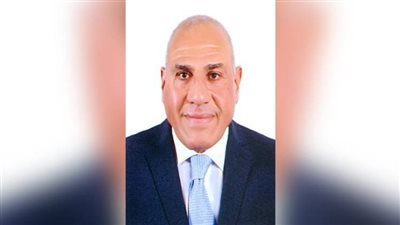 خلال معرض إيديكس الدولي..  مصر توجه الدعوة للشركات العالمية لزيارة مصانع الهيئة العربية للتصنيع