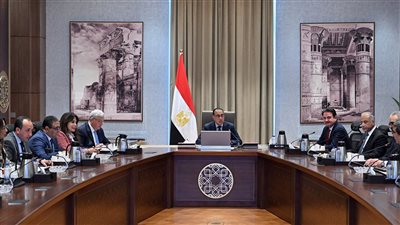 رئيس الوزراء يلتقي مسئولي الفرع الطبي بجامعة 