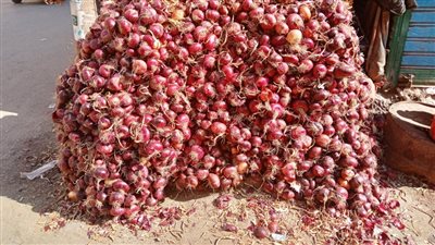 البصل راح فين.. أحمد موسي ينفعل بسبب الأسعار كان بيترمي زمان