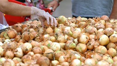 أسعار البصل.. تطورات جديدة في الأسواق