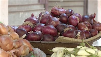 الأزمة مستمرة.. شعبة الخضار: سعر البصل وصل لـ 45 جنيهًا