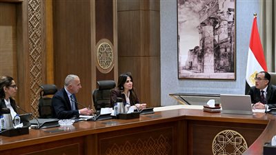 رئيس الوزراء يتابع مع الرئيس التنفيذي لـ