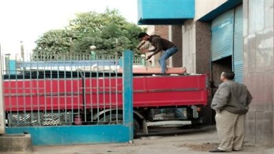 50 خيمة بكامل مستلزماتها من تضامن السويس لقطاع غزة