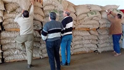 الزراعة تكثف حملات الرقابة والتفتيش على محطات ومنافذ بيع تقاوى البطاطس