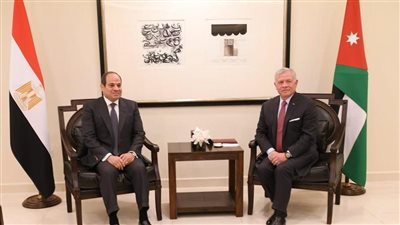 القمة الثلاثية بالأردن.. الرئيس السيسي يستعرض جهود وقف إطلاق النار في غزة 