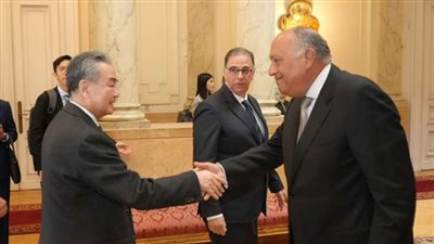 بيان مشترك بين مصر والصين بشأن القضية الفلسطينية