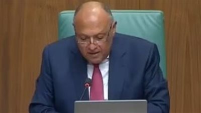 مباحثات مصرية يونانية غدا بالقاهرة على مستوى وزيرى الخارجية