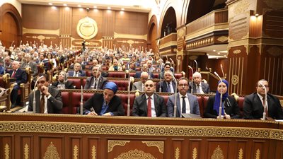 نائب بمجلس الشيوخ يقترح الاستعانة بالبلوجرز للترويج السياحي