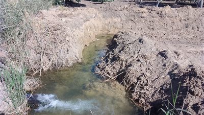 الشيوخ يوافق على طلب 