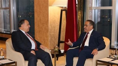 وزير المالية: مصر نجحت في تأسيس بنية تحتية قوية جاذبة وداعمة للاستثمارات المحلية والأجنبية