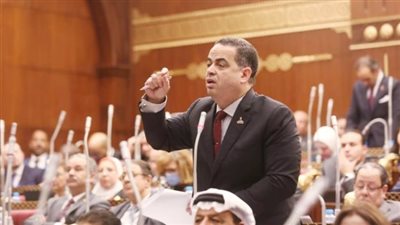 وكيل تشريعية الشيوخ: عيد الشرطة شاهد على عظمة جنود مصر البواسل