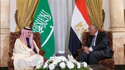 على المستوى الوزاري.. وزير خارجية السعودية يلتقي بنظيره المصري 