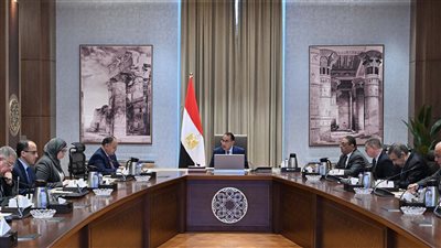 رئيس الوزراء يعقد اجتماعًا بشأن تشكيل 