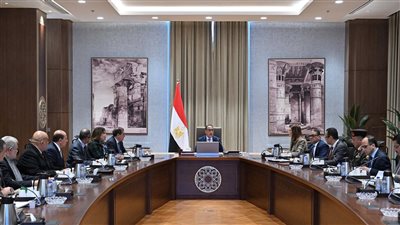 رئيس الوزراء يتابع مستجدات موقف تنفيذ مشروعات المبادرة الرئاسية 
