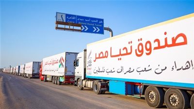 سويسرا تشيد بدور مصر فى وصول المساعدات الإنسانية لغزة