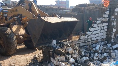 إزالة 6 حالات تعدي على الأراضي الزراعية ومخالفة للبناء بالغربية