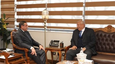 وزير التنمية المحلية يتابع مع محافظ الوادي الجديد المشروعات الخدمية والتنموية