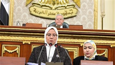 مصرع نائبة برلمانية في حادث تصادم بالمنيا