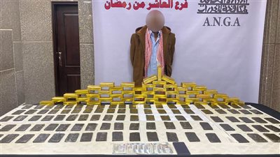 تقدر بـ 2,5 مليون جنيه.. ضبط عاطل وبحوزته 345 طربة حشيش بالشرقية