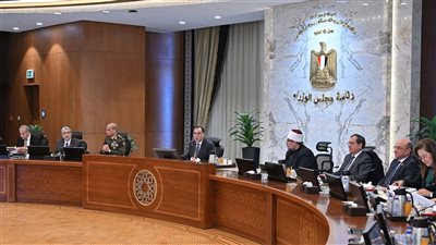 رئيس الوزراء: البدء على الفور في اتخاذ الإجراءات التنفيذية لقرارات الرئيس بشأن الحزمة الاجتماعية العاجلة