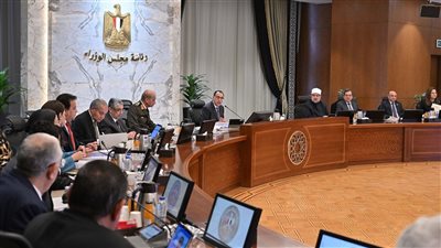 رئيس الوزراء: لجنة قانونية وفنية بمجلس الوزراء ومكتب مُحاماة عالمي لدراسة عروض استثمار تُدِرُ موارد ضخمة من النقد الأجنبي