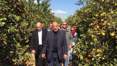 وزير قطاع الأعمال: التوسع في زراعة محصولي القمح وبنجر السكر ومشروعات جديدة للتصنيع الزراعي