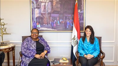 المشاط تبحث تعزيز الشراكة الاستراتيجية مع مؤسسة التمويل الدولية IFC لتمكين القطاع الخاص