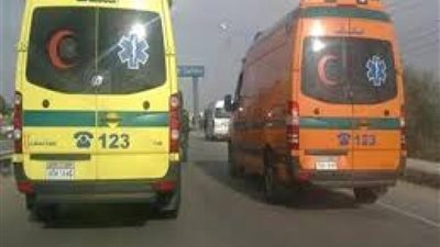 إصابة ٢٢ شخص في حادث تصادم بالدقهلية 