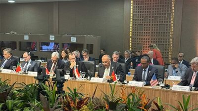 شكري يشارك في جلسة 