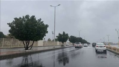 أمطار ورياح وشبورة.. 