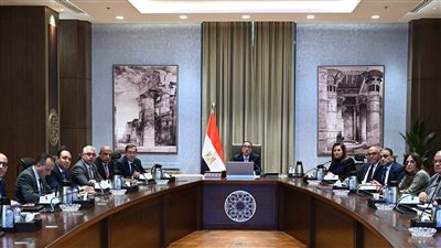 الحكومة تدرس مقترحا لشركة إيطالية لإنشاء مجمع صناعي متكامل لمنتجات الحديد والصلب المتطورة باستثمارات 4 مليارات دولار