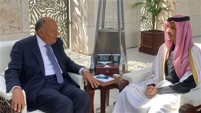 سامح شكري يعقد اجتماعاً ثنائياً مع رئيس مجلس الوزراء وزير خارجية دولة قطر