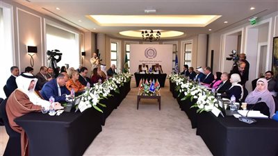 وزير العمل يشارك في فعاليات الدورة رقم  100 لمجلس إدارة منظمة العمل العربية 